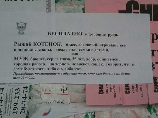  или не муж.jpg