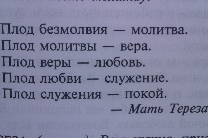 IMAG268811.JPG