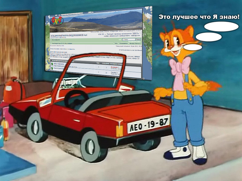 .jpg