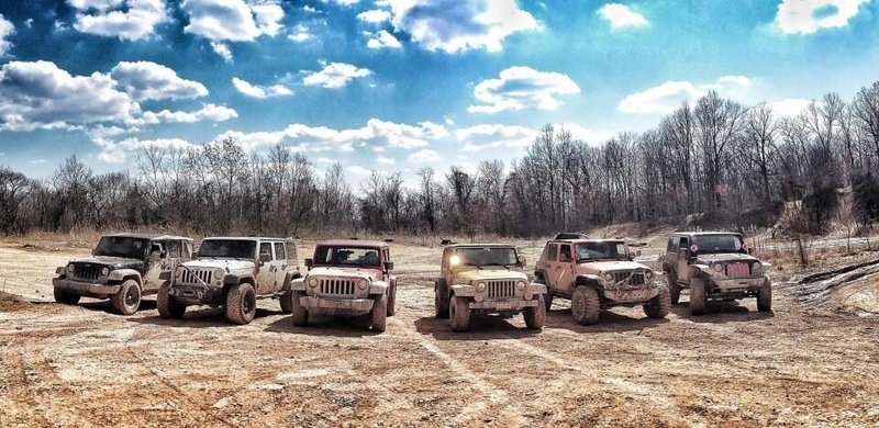 jeeps1.jpg