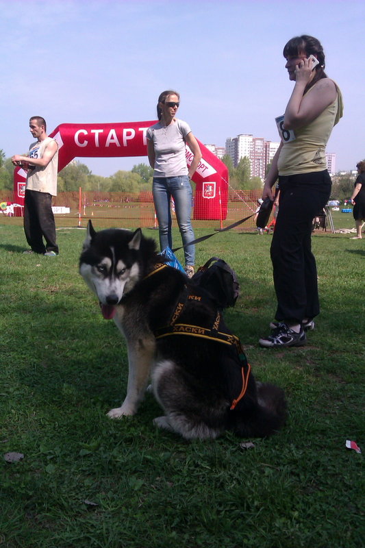 IMAG01501э.JPG