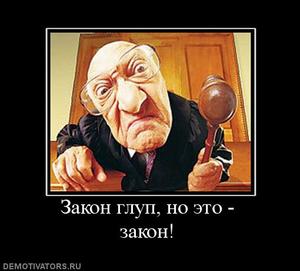 777205_zakon-glup-no-eto-zakon_thumbnail.jpg