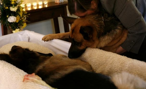  не хуже людей.jpg