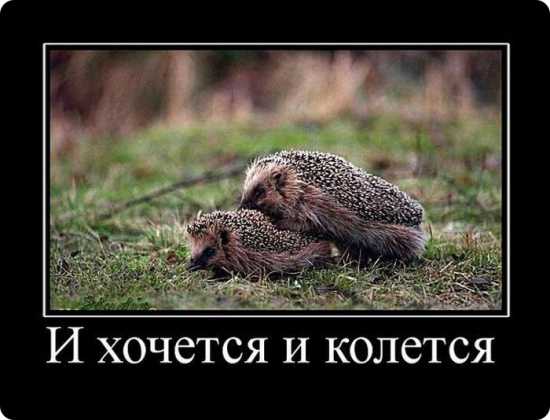  того самого.jpg