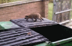  не дотянул.gif