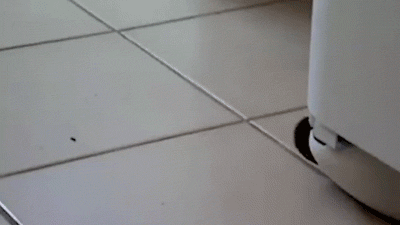  раз.gif