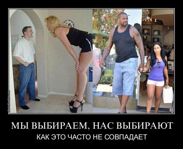  выбираем.jpg