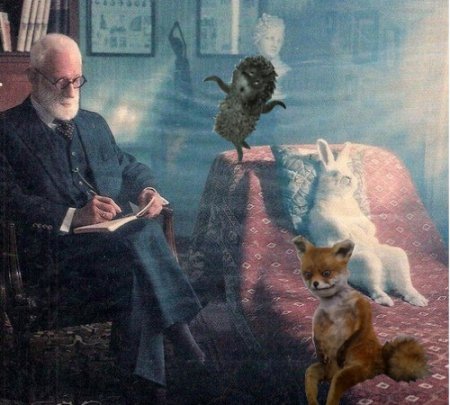  упоротый лис.jpeg