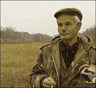  и так.gif
