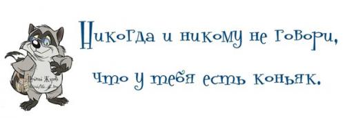  не говори никогда.jpg
