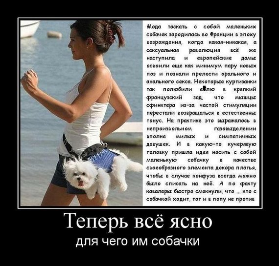  ходит с собачкой.jpg