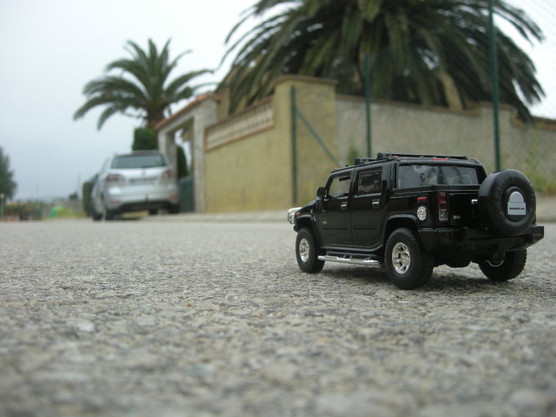 DSCN8365.JPG