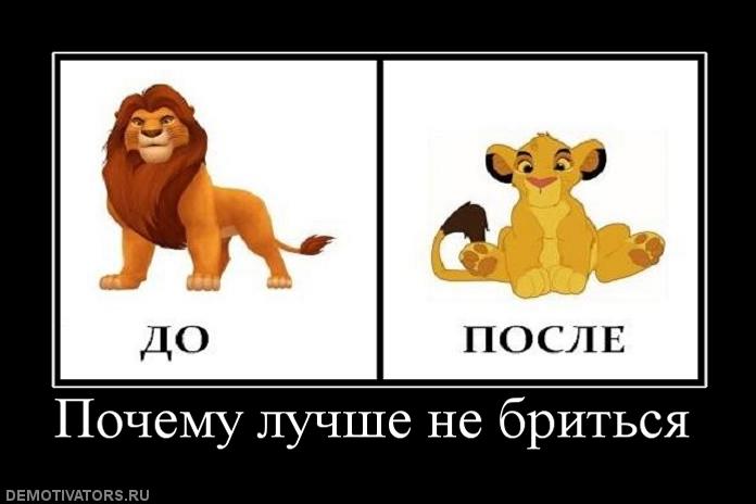  не бриться.jpg